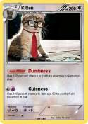 Kitten