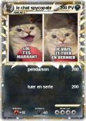 le chat spycopa