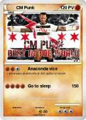 CM Punk