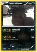Damir williams
