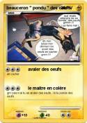 beauceron 