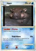 Hippo