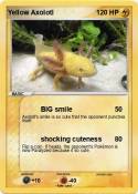 Yellow Axolotl
