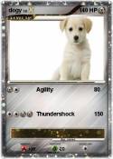 dogy