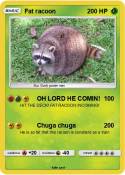 Fat racoon