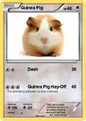 Guinea Pig