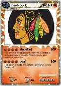hawk puck