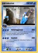 walrusbucket