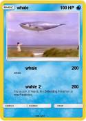 whale