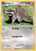 Raccoon