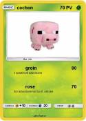 cochon