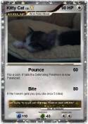Kitty Cat