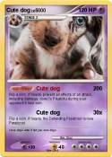 Cute dog