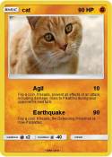 cat