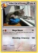 Killer Cat of