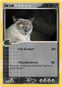 mr.cat