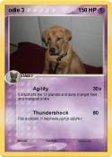 odie 3