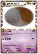 guinea pig fur