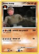 boxer trump