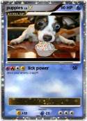 puppies