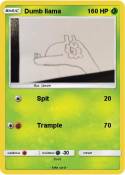 Dumb llama