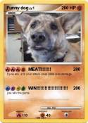 Funny dog