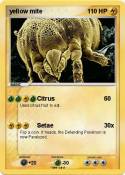 yellow mite