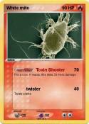 White mite