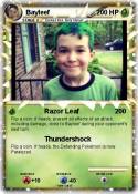 Bayleef