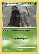 berger allemand