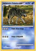 malamute d'alas