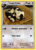 Chapie Power
