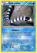 Hydrophiidae