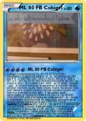 ML 80 FB Cubige