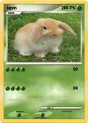 lapin