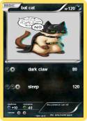 bat cat