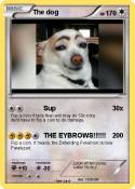 The dog