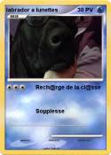 labrador a lune