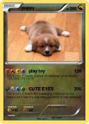 puppy