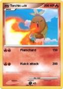 my Torchic