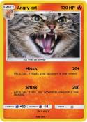 Angry cat