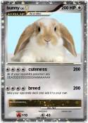 bunny