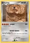 Sussy Dog