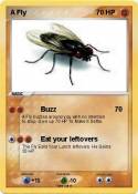 A Fly