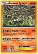 Burmese Python