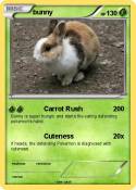 bunny