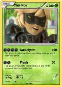 Chat Noir
