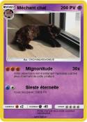 Méchant chat