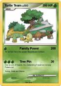 Turtle Team