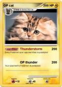 OP cat